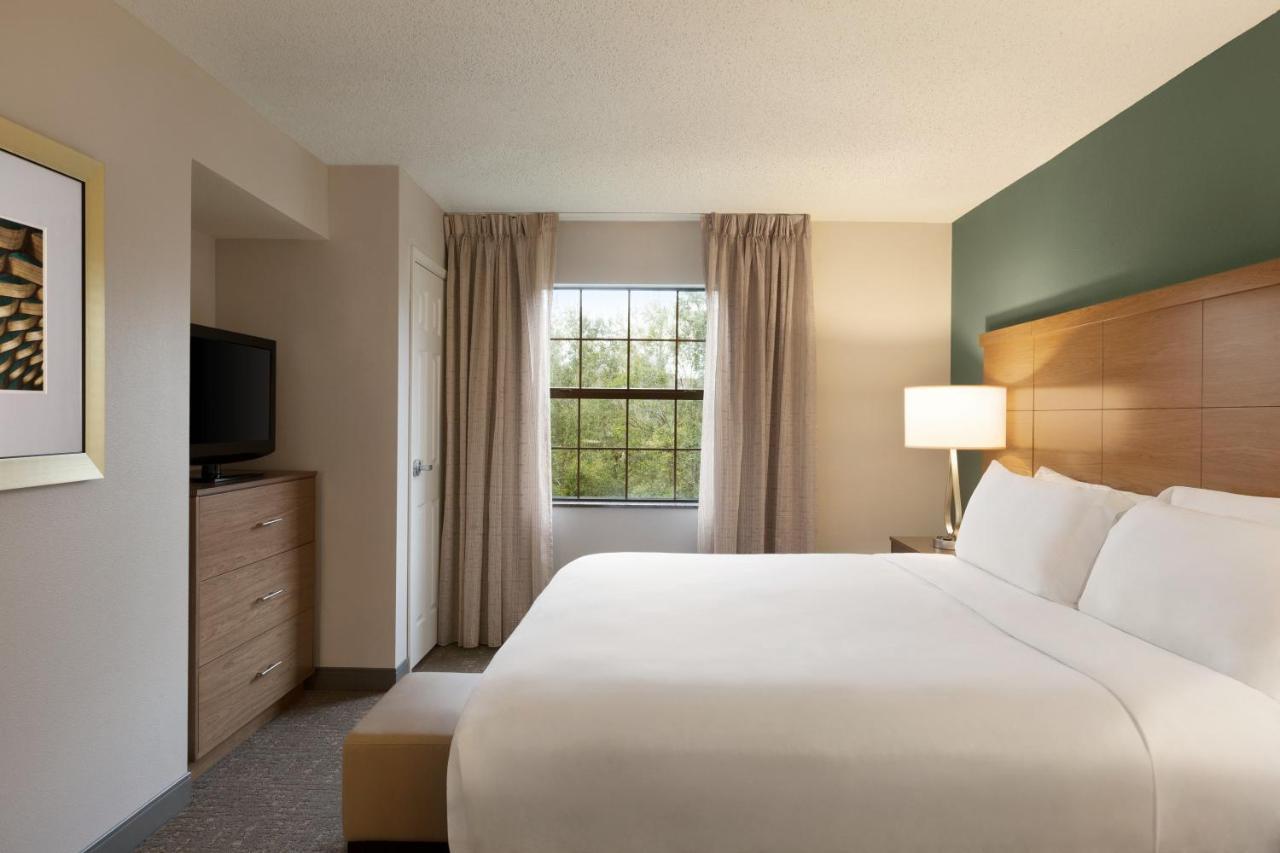 Staybridge Suites Tampa East- Brandon By Ihg Mango Exteriör bild